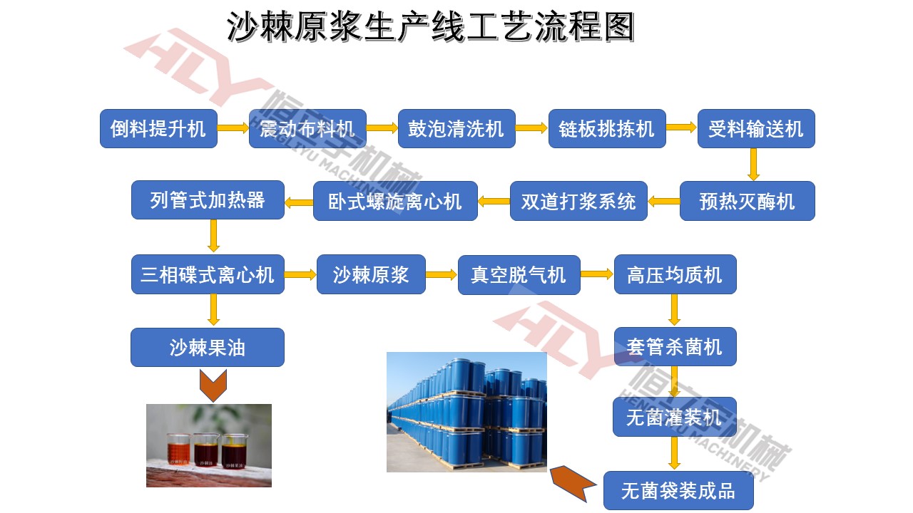 沙棘浆流程图.jpg